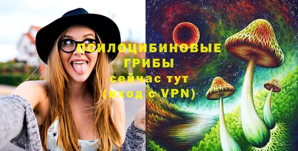 прущий лед Алексеевка
