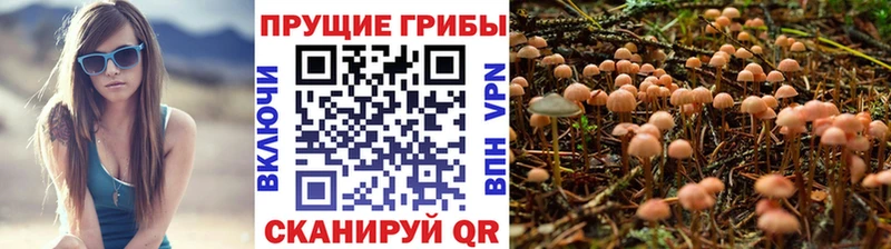 Галлюциногенные грибы прущие грибы  omg сайт  Кукмор 